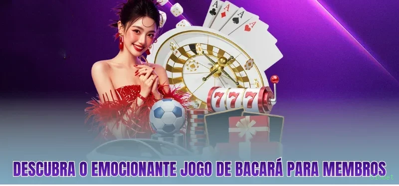 Cassino 510bet app mobile